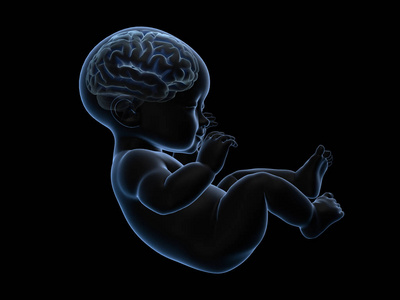 3d 渲染 x 射线的大脑里的孩子