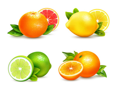 柑橘类水果 4 现实图标集