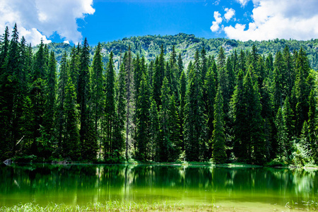 蛇湖山景