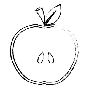 苹果种子图片简笔画图片