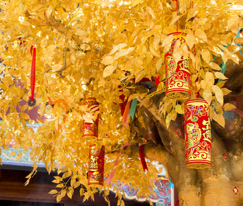 背景中国许愿树与传统的金色鞭炮带给你好运和幸福.中国新的一年照片