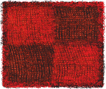 编织 grunge 条纹和格子长方形地毯