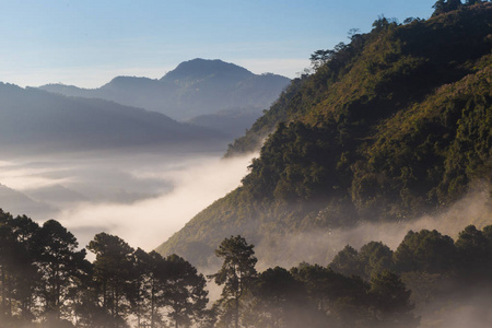 泰国绿树山的自然景观