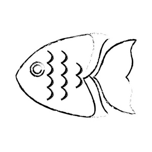 海水鱼图标