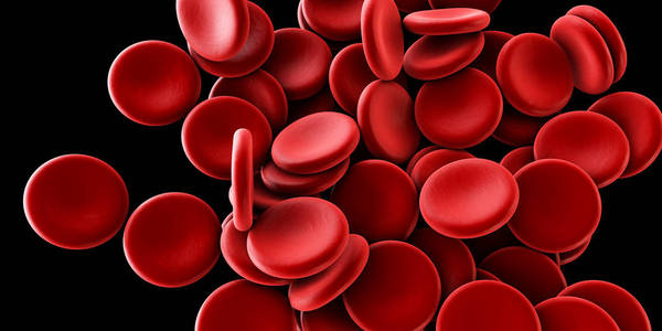 在静脉或动脉中流动的血红细胞的插图