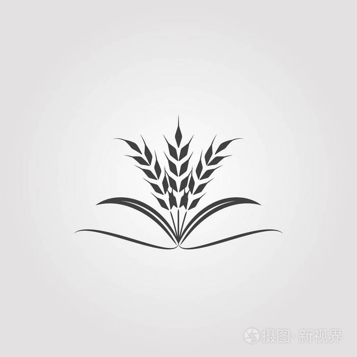 水稻在白色背景上的标签