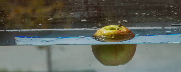苹果蘸在水族馆