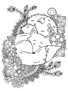 矢量图 zentagl 刺猬和狐狸睡在花丛中。涂鸦画。冥想练习。着色图书抗成人儿童压力。黑色白色