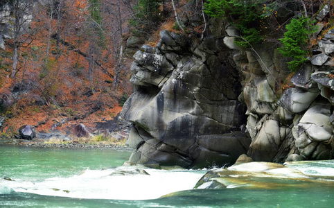 山区河流流经森林