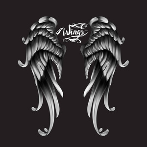 双天使的翅膀图片