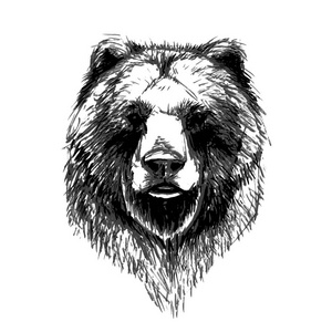 熊头模式图标
