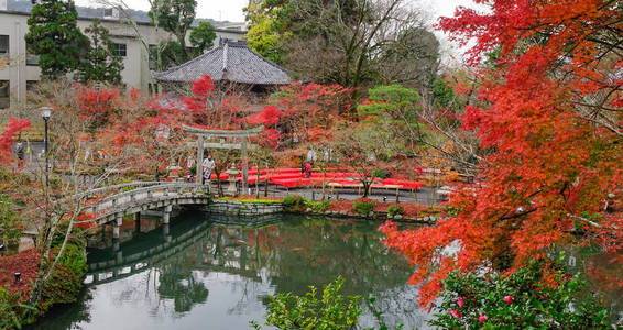 日本京都秋季带湖的日本花园景观。