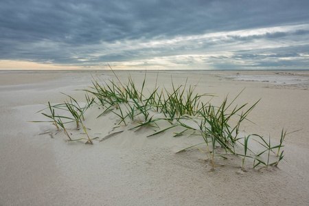 在北海德国 Amrum 岛上海滩