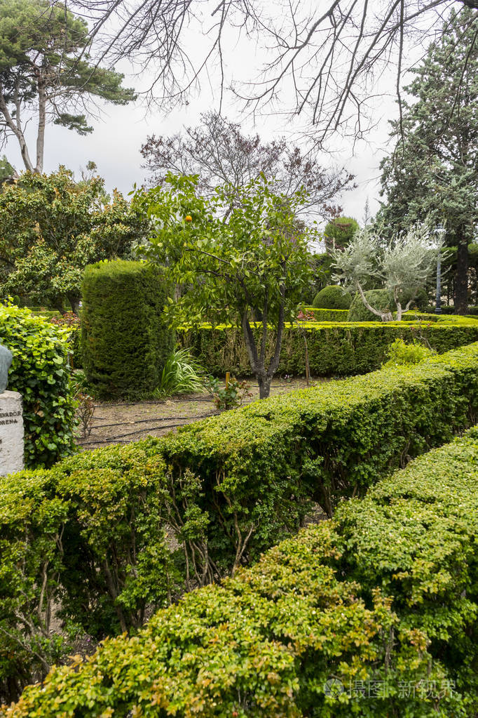 迷宫般的绿色灌木