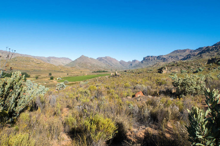 南非的 Cederberg 地区