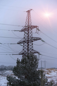 雪霜森林的电源线