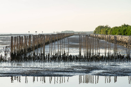 慢波的竹棒海岸，泰国湾