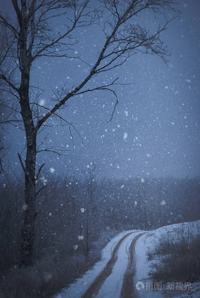 道路覆盖的冬雪