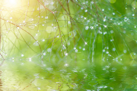 水滴在雨季的时候松