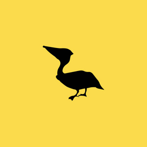 小鸟图标图孤立的矢量标志符号