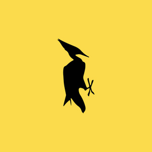 啄木鸟鸟图标图孤立的矢量标志符号