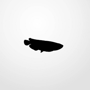 鱼图标图孤立的矢量标志符号