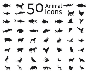 一套 50 动物图标