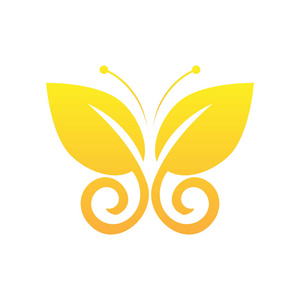 色彩鲜艳蝴蝶图片