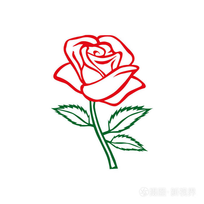 玫瑰的图案.花的设计元素.矢量图.大纲设计优雅的花.