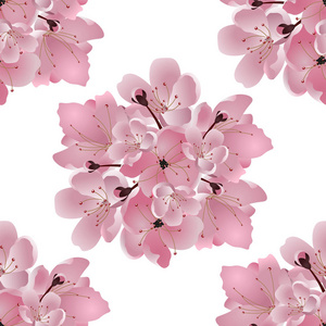 日本的樱桃。粉红色的樱花的香味。白色背景上的孤立。无缝图