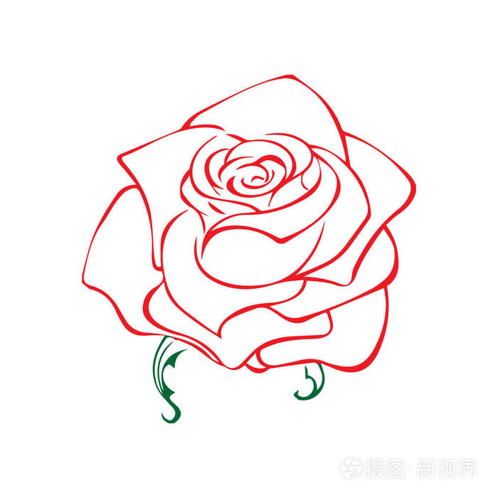 插画 玫瑰的素描.花的设计元素.矢量图.优雅的花香概要设计.