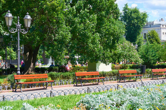 正午,阳光灿烂的日子,阴影和绿草树木在夏天城市公园
