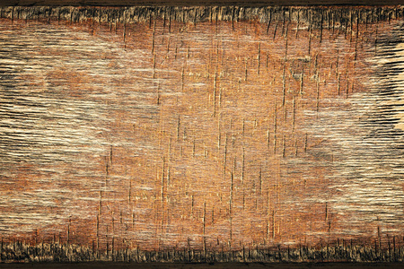 木材的背景 老岁木纹纹理，风化木材