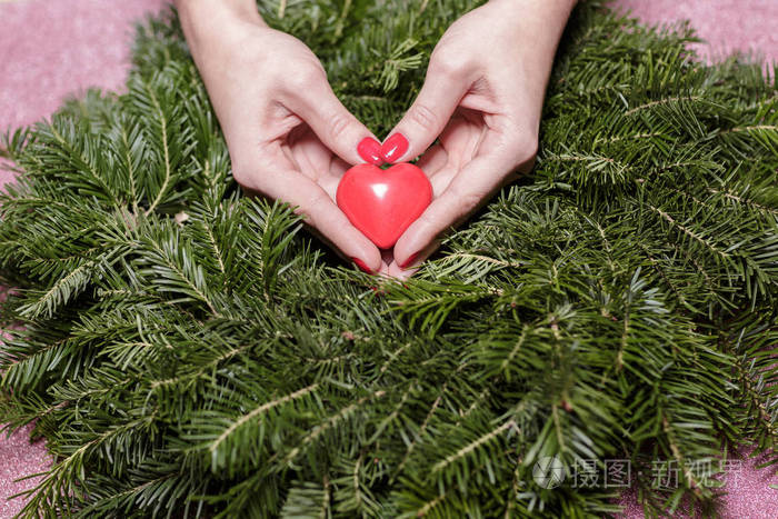 女性的双手枞树枝上的心情人节