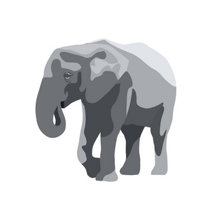 大象孤立的矢量图，大的野生动物