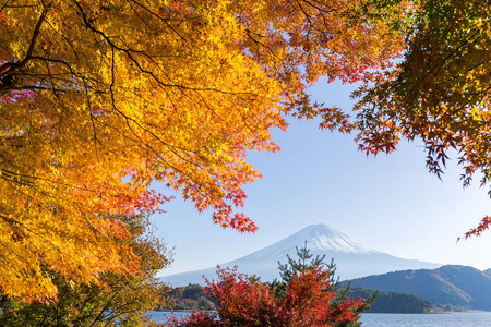 富士山在秋天的季节