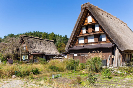 白川方明去历史日本村