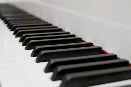 特写的钢琴 白色和黑色键盘