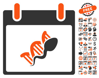 精子 Dna 复制日历天平面矢量图标与奖金