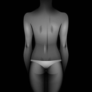 女性身体模板