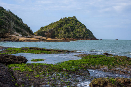 巴西美丽海岸