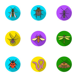 昆虫在平面样式中设置图标。大集合的昆虫矢量符号股票图