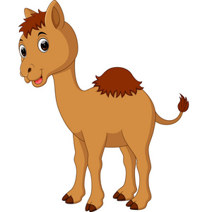 可爱的骆驼卡通 插画