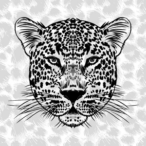 豹脸上刺青，矢量图，打印
