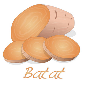 Batat，甘薯插图上白