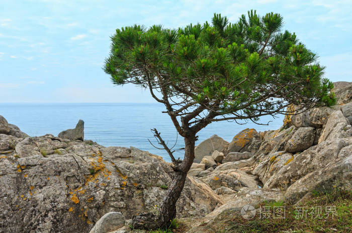 夏季海洋海岸，布拉瓦海岸西班牙