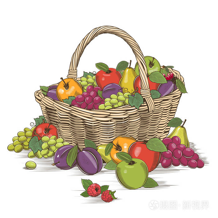 水果篮木刻风格
