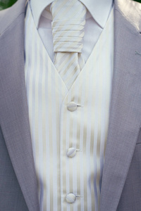 新郎婚纱的详细看法与领带和背心