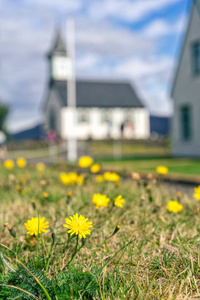 冰岛的白色教堂。 选择性聚焦。