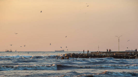 风暴, 在黑海海岸的海鸥, 里奥尼河, 锅